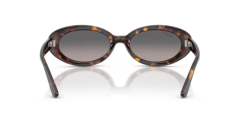 Ray-Ban | RB2223 | Havana Gradient Grey Polarised