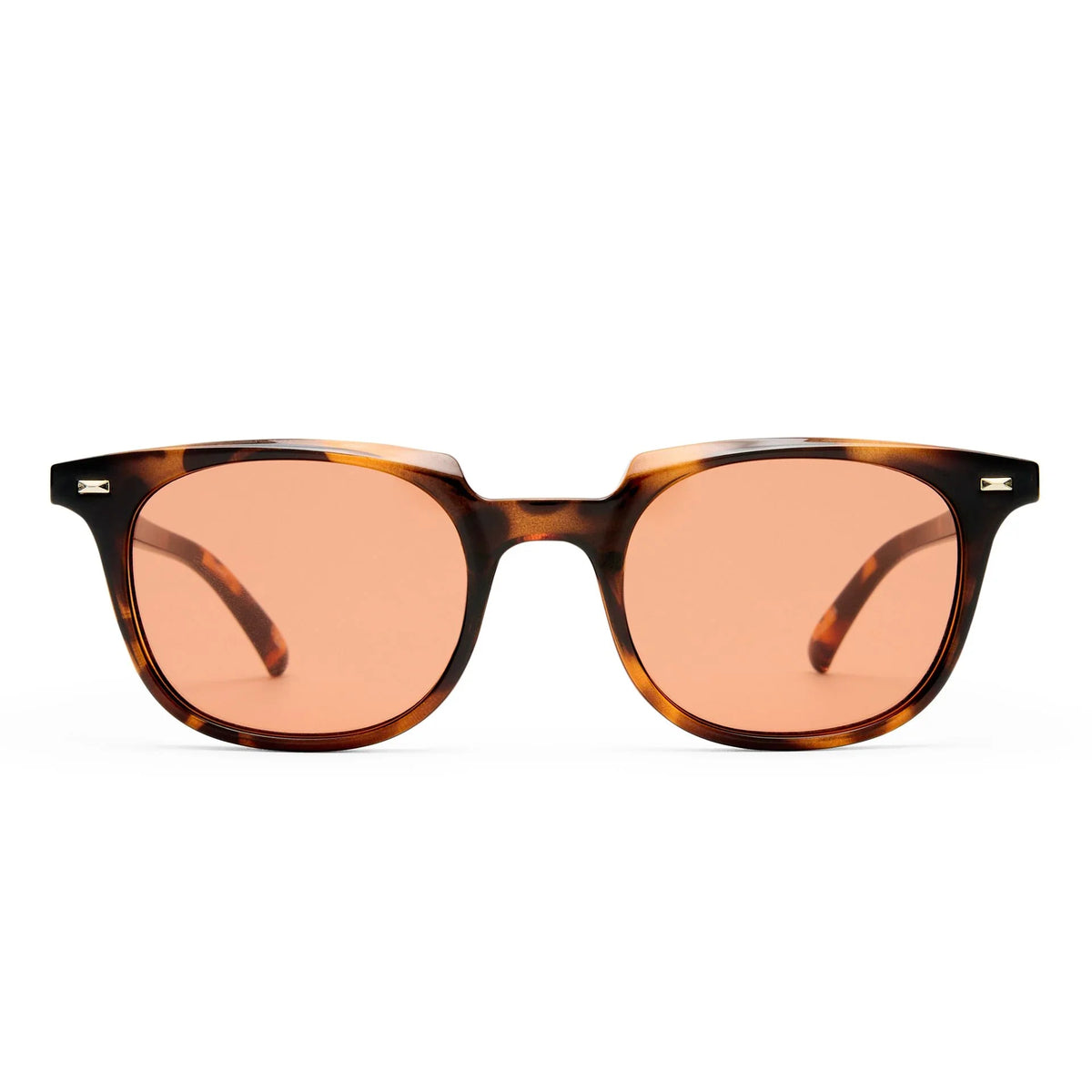 Le Specs | Le Resolu | Dark Tort