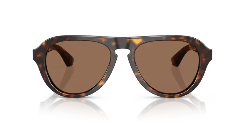 Burberry | 4437U | Dark havana