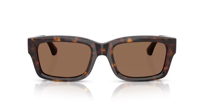 Burberry | 4443 | Dark Havana - iKANDi Sunglasses