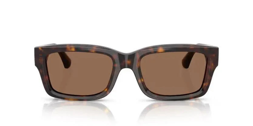 Burberry | 4443 | Dark Havana - iKANDi Sunglasses