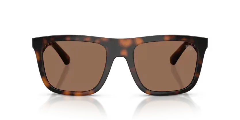 Burberry | 4458U | Dark havana