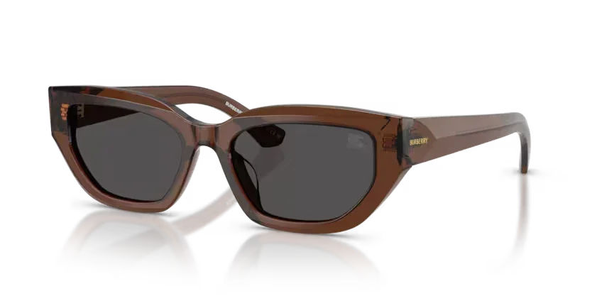 Burberry | 4463D | Brown