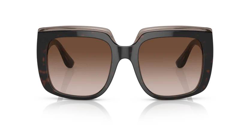 Dolce & Gabbana | 4414F | Havana on transparent brown