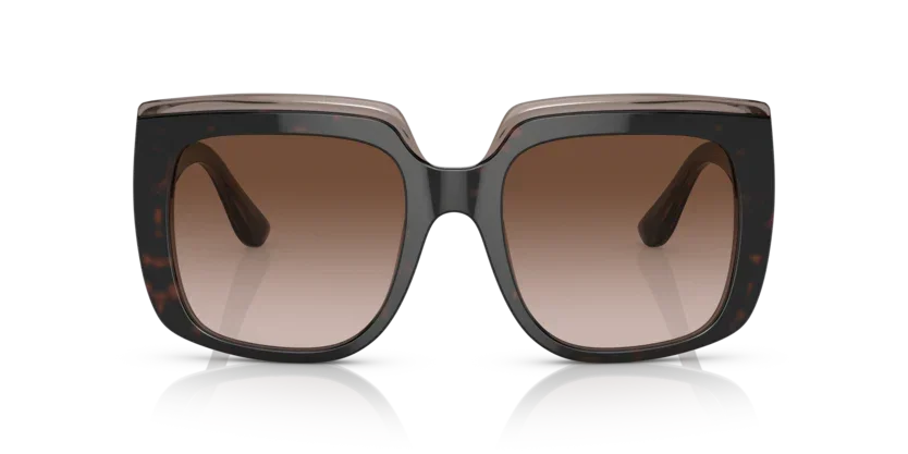 Dolce & Gabbana | 4414F | Havana on transparent brown
