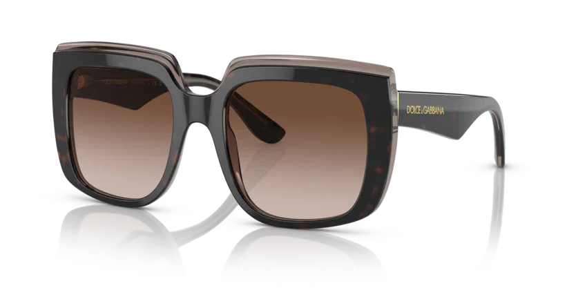 Dolce & Gabbana | 4414F | Havana on transparent brown