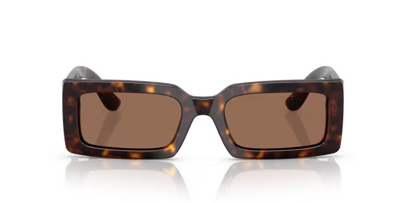 Dolce & Gabbana | 4416 | Havana - iKANDi Sunglasses