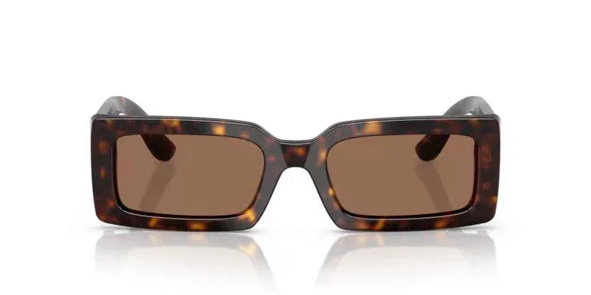 Dolce & Gabbana | 4416 | Havana - iKANDi Sunglasses