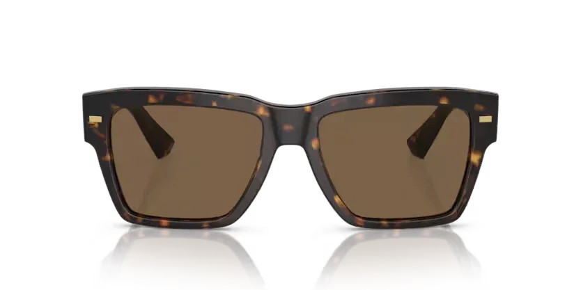 Dolce & Gabbana | 4431 | Havana