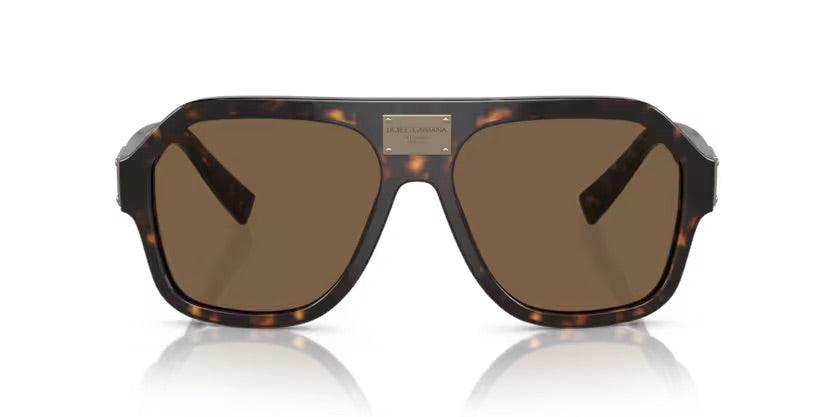 Dolce & Gabbana | 4433 | Havana - iKANDi Sunglasses