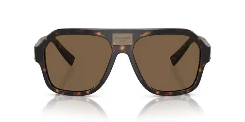 Dolce & Gabbana | 4433 | Havana - iKANDi Sunglasses