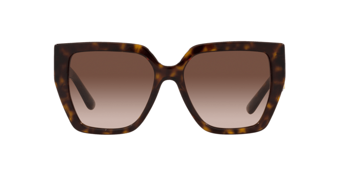 Dolce & Gabbana | 4438 | Havana - iKANDi Sunglasses