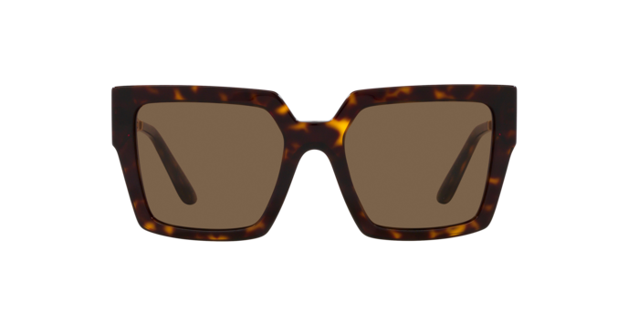 Dolce & Gabbana | 4446B | Havana