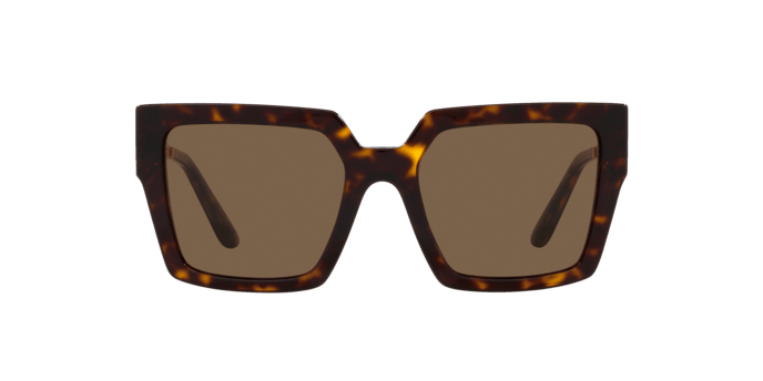 Dolce & Gabbana | 4446B | Havana - iKANDi Sunglasses