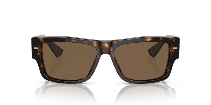 Dolce & Gabbana | 4451 | Havana