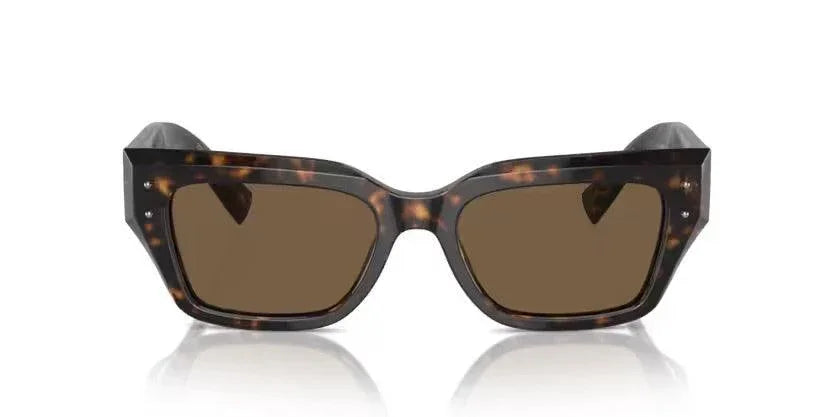 Dolce & Gabbana | 4462 | Havana - iKANDi Sunglasses