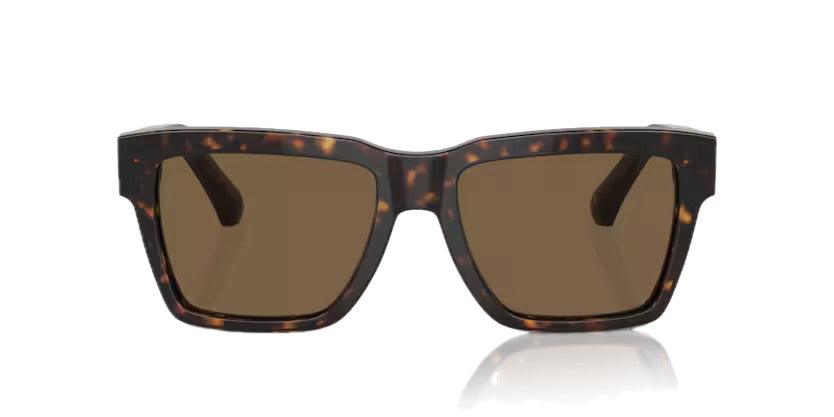 Dolce & Gabbana | 4465F | Havana - iKANDi Sunglasses