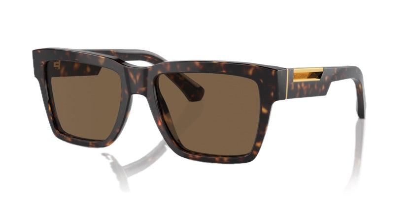 Dolce & Gabbana | 4465F | Havana - iKANDi Sunglasses