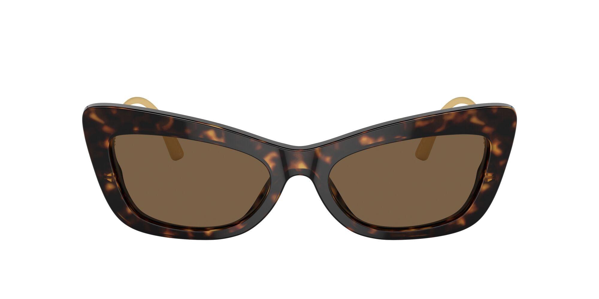 Dolce & Gabbana | 4467B | Havana - iKANDi Sunglasses