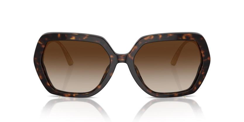 Dolce & Gabbana | 4468BF | Havana - iKANDi Sunglasses