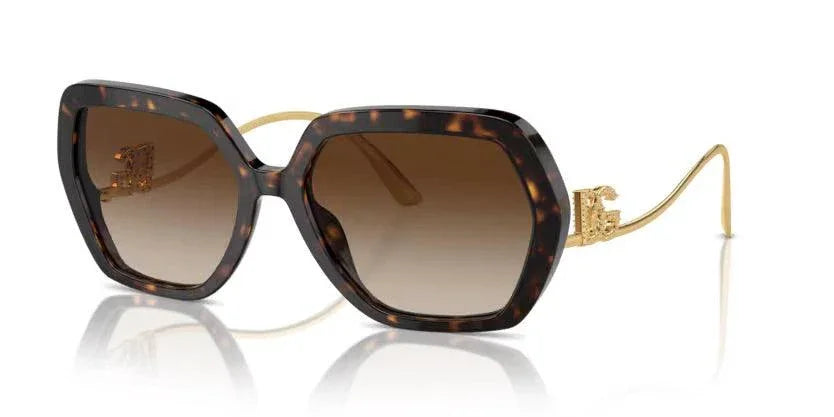 Dolce & Gabbana | 4468BF | Havana - iKANDi Sunglasses