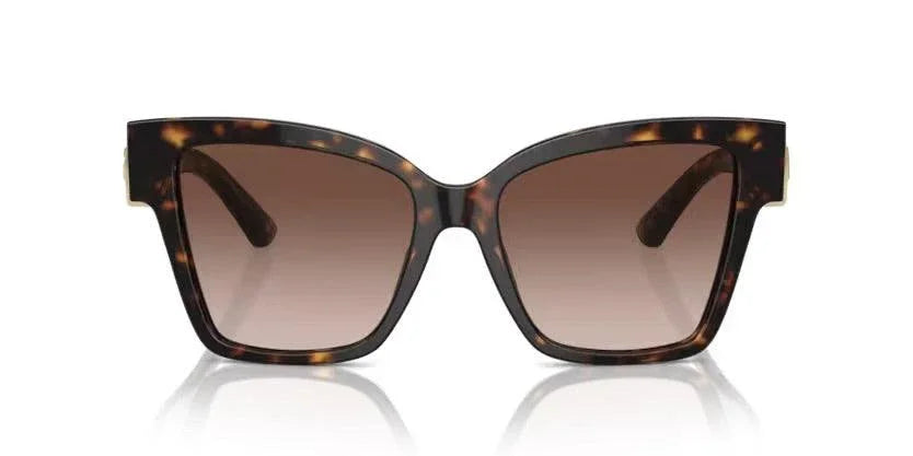 Dolce & Gabbana | 4470F | Havana - iKANDi Sunglasses