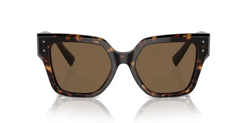Dolce & Gabbana | 4471 | Havana - iKANDi Sunglasses