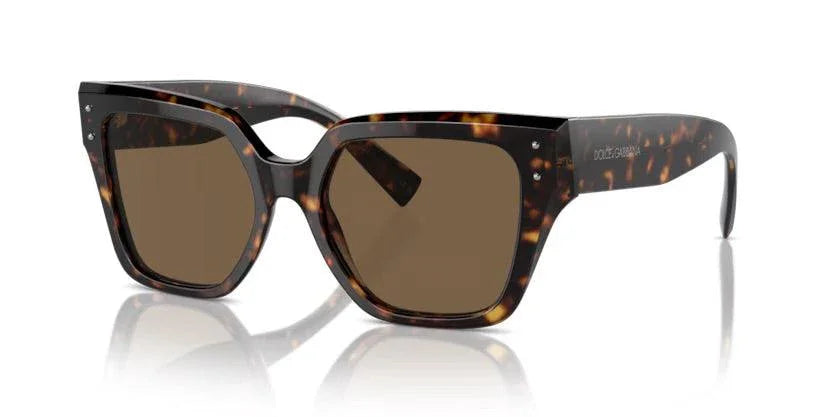 Dolce & Gabbana | 4471 | Havana - iKANDi Sunglasses