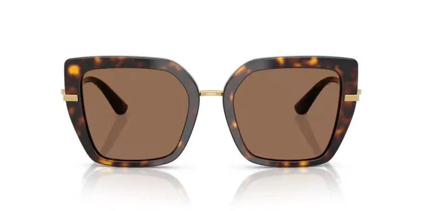 Dolce & Gabbana | 4474F | Havana - iKANDi Sunglasses
