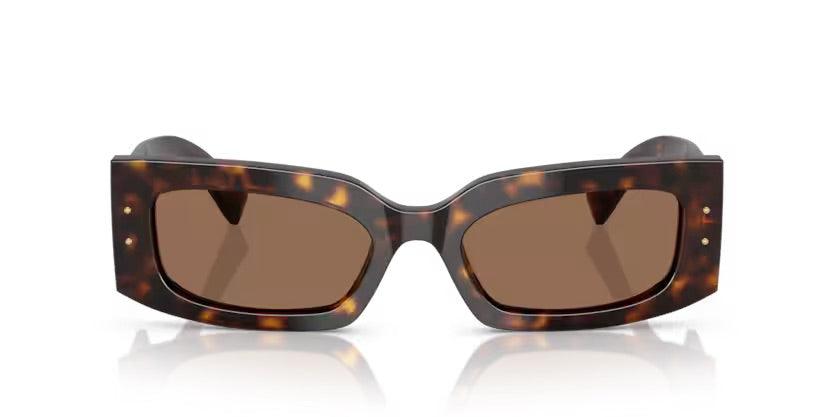 Dolce & Gabbana | 4479 | Havana - iKANDi Sunglasses
