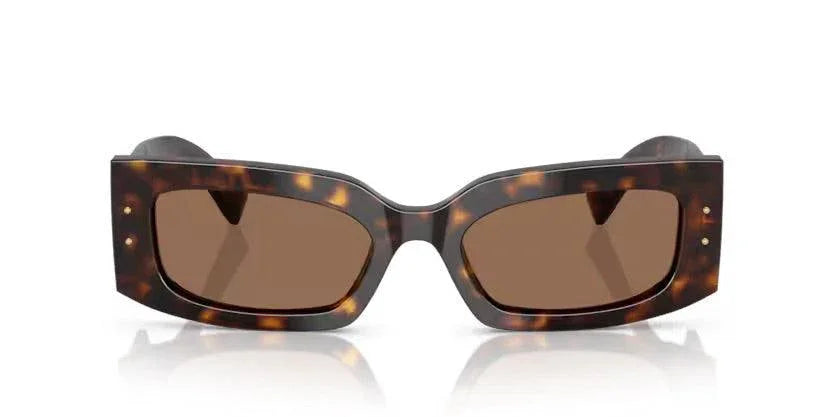 Dolce & Gabbana | 4479 | Havana - iKANDi Sunglasses