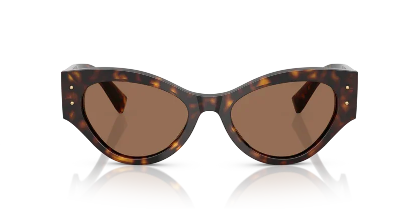 Dolce & Gabbana | 4480F | Havana