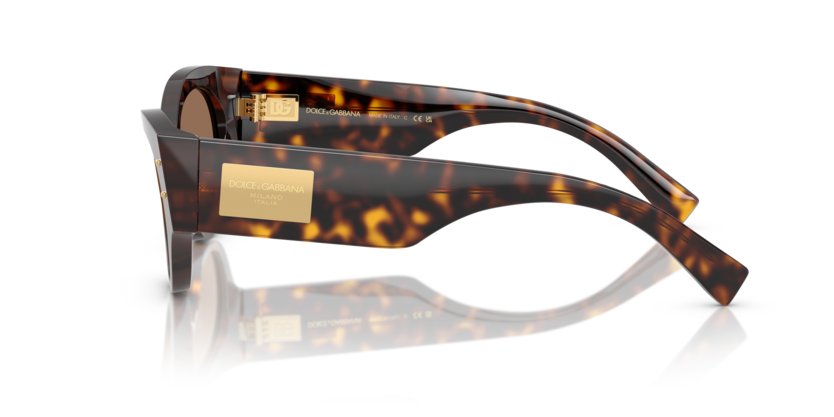 Dolce & Gabbana | 4480F | Havana