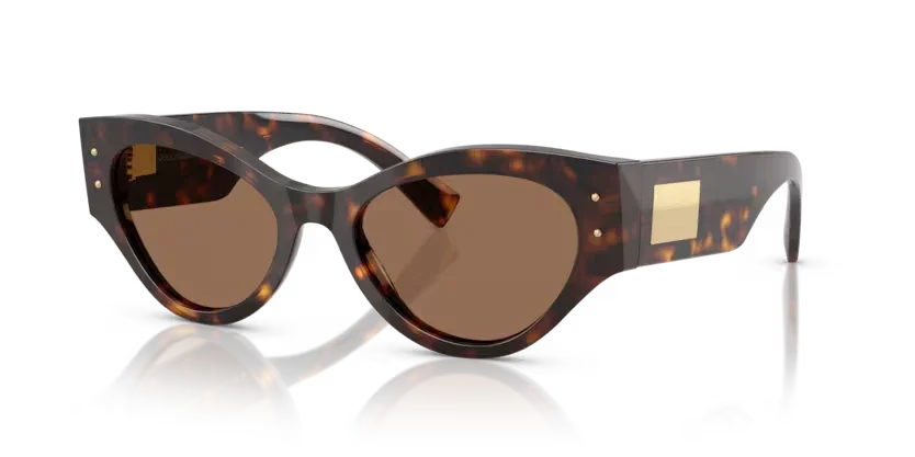 Dolce & Gabbana | 4480F | Havana
