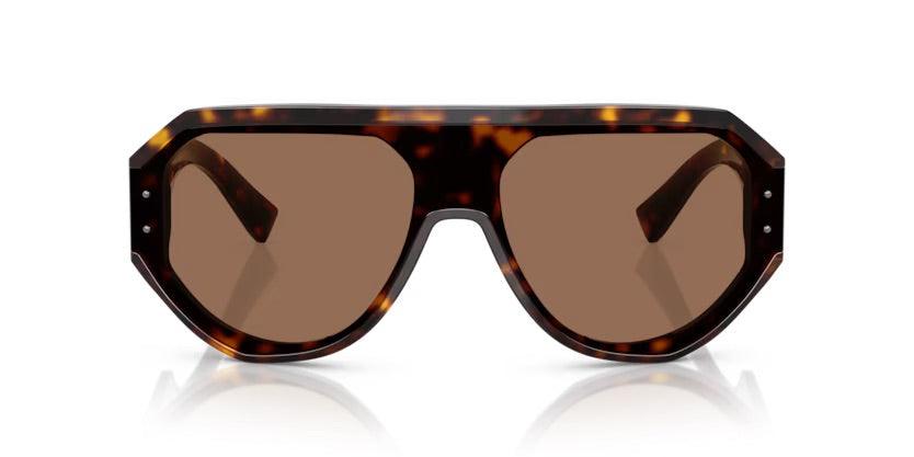 Dolce & Gabbana | 4481F | Havana - iKANDi Sunglasses