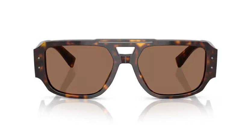 Dolce & Gabbana | 4482 | Havana - iKANDi Sunglasses