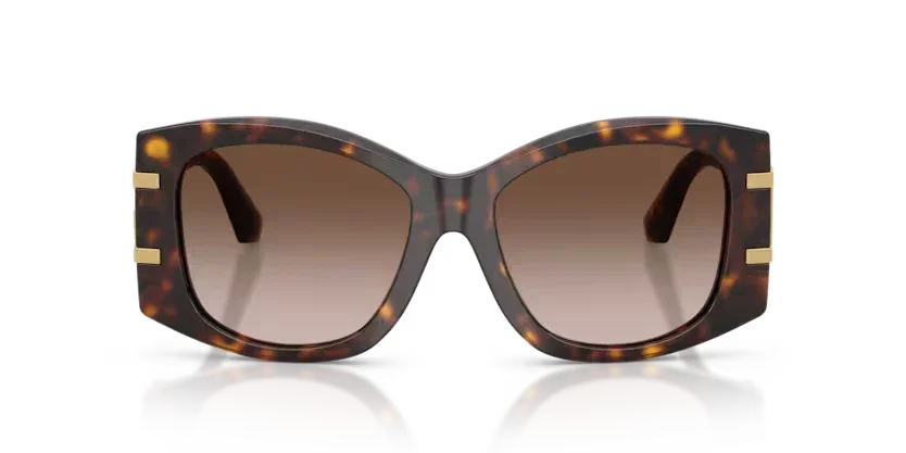 Dolce & Gabbana | 4501 | Havana