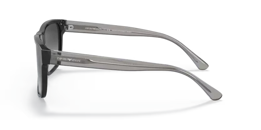 Emporio Armani | 4163 | Black