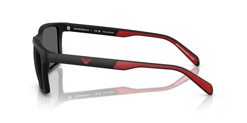 Emporio Armani | 4219 | Matte black Polarised