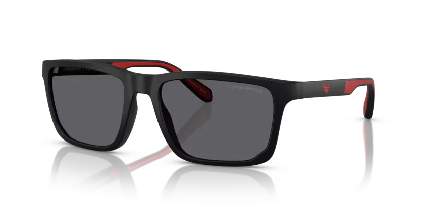 Emporio Armani | 4219 | Matte black Polarised
