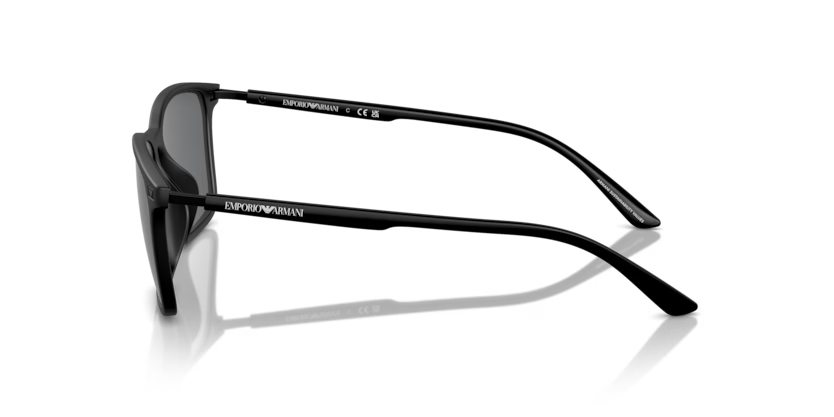 Emporio Armani | 4223U | Matte black