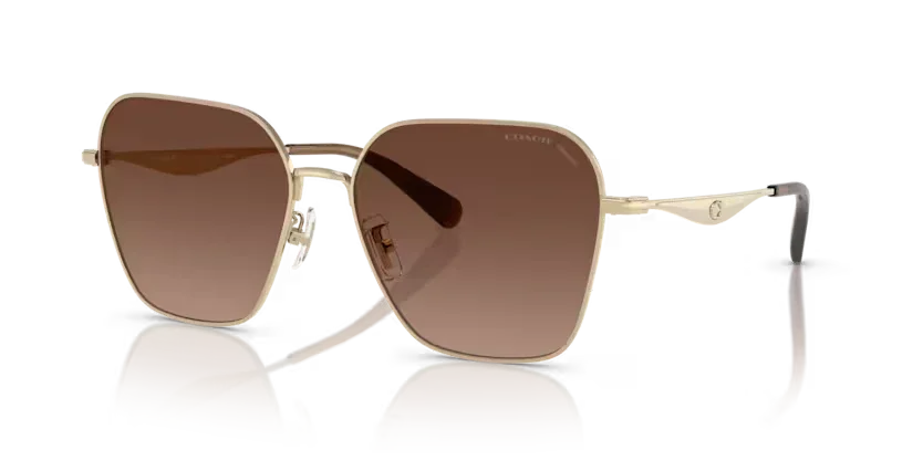 Coach | 7168 | Shiny Light Gold Polarised
