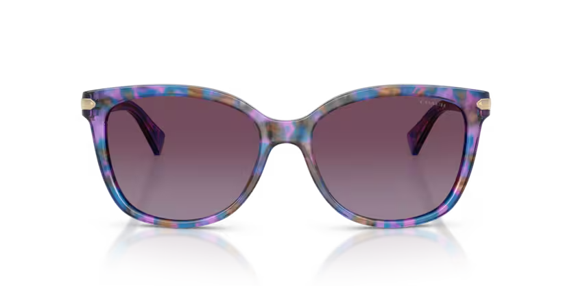 Coach | 8132 | Dark tortoise