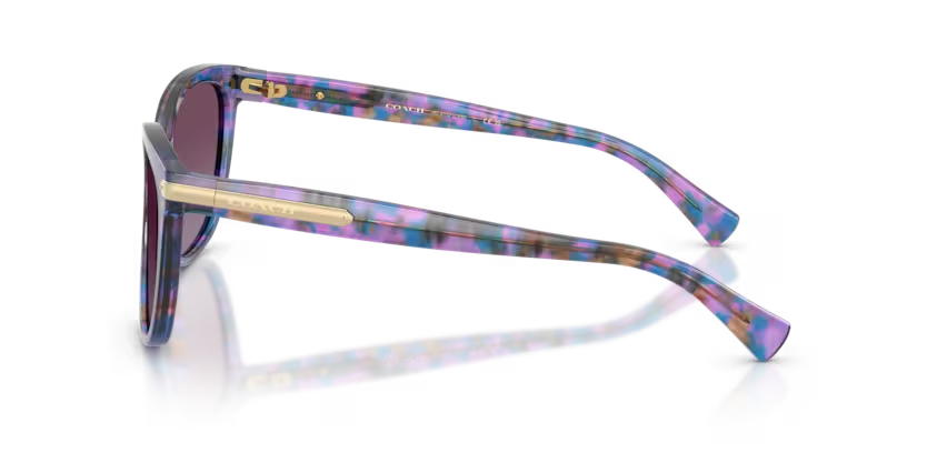 Coach | 8132 | Purple Confetti Tortoise