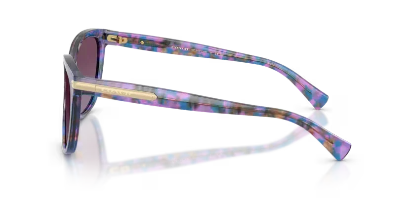 Coach | 8132 | Purple Confetti Tortoise