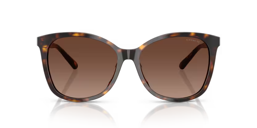 Coach | 8271U | Dark Tortoise Polarised