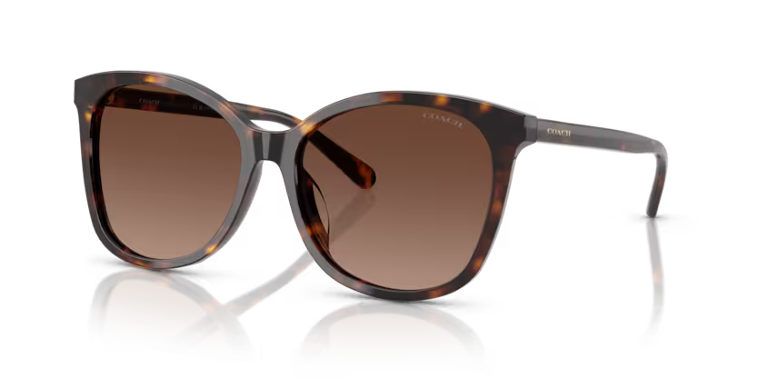 Coach | 8271U | Dark Tortoise Polarised