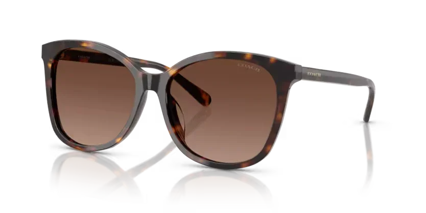 Coach | 8271U | Dark Tortoise Polarised