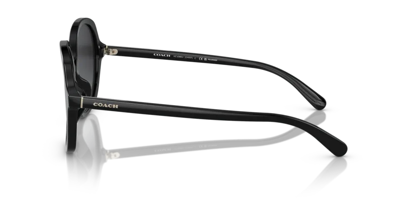 Coach | 8360U | Black Polarised