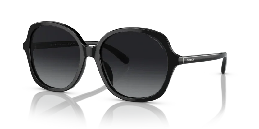 Coach | 8360U | Black Polarised
